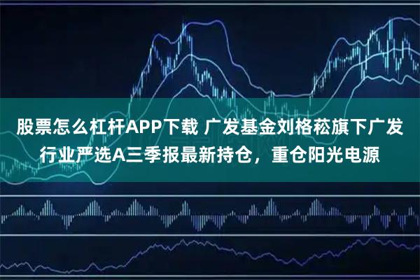 股票怎么杠杆APP下载 广发基金刘格菘旗下广发行业严选A三季报最新持仓，重仓阳光电源